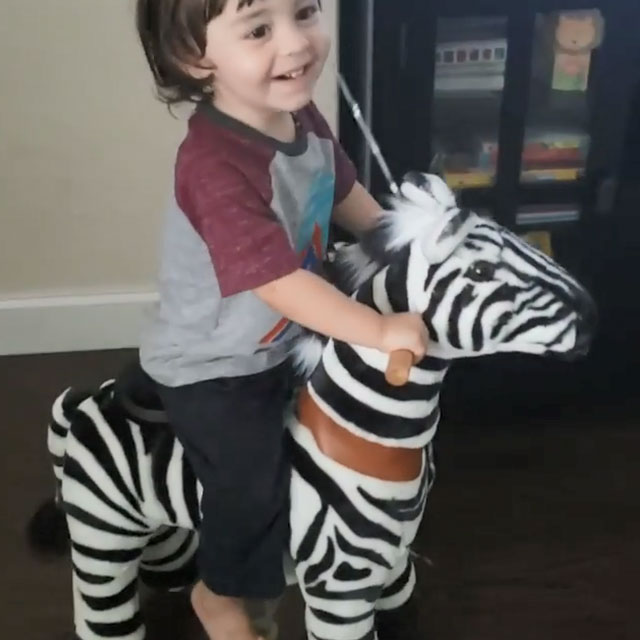 Kleinkind Aufsitzspielzeug Zebra